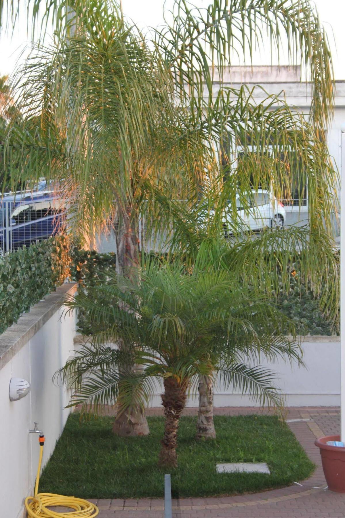 Kalinifta Residence 卡尔皮尼亚诺萨伦蒂诺 外观 照片